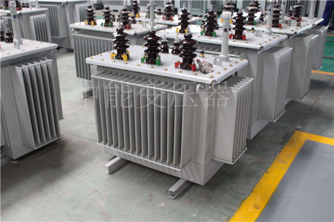 贵阳S22-250KVA/10KV变压器